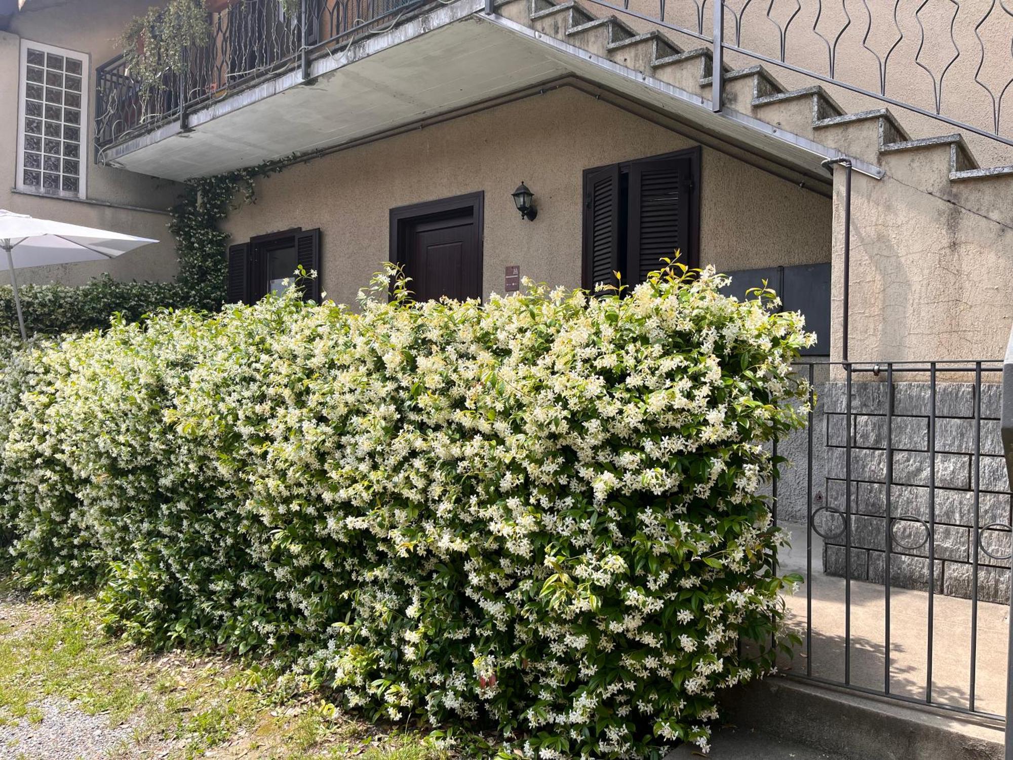 Il Cortile Como Single & Double Room In Apartment No Hotel Εξωτερικό φωτογραφία