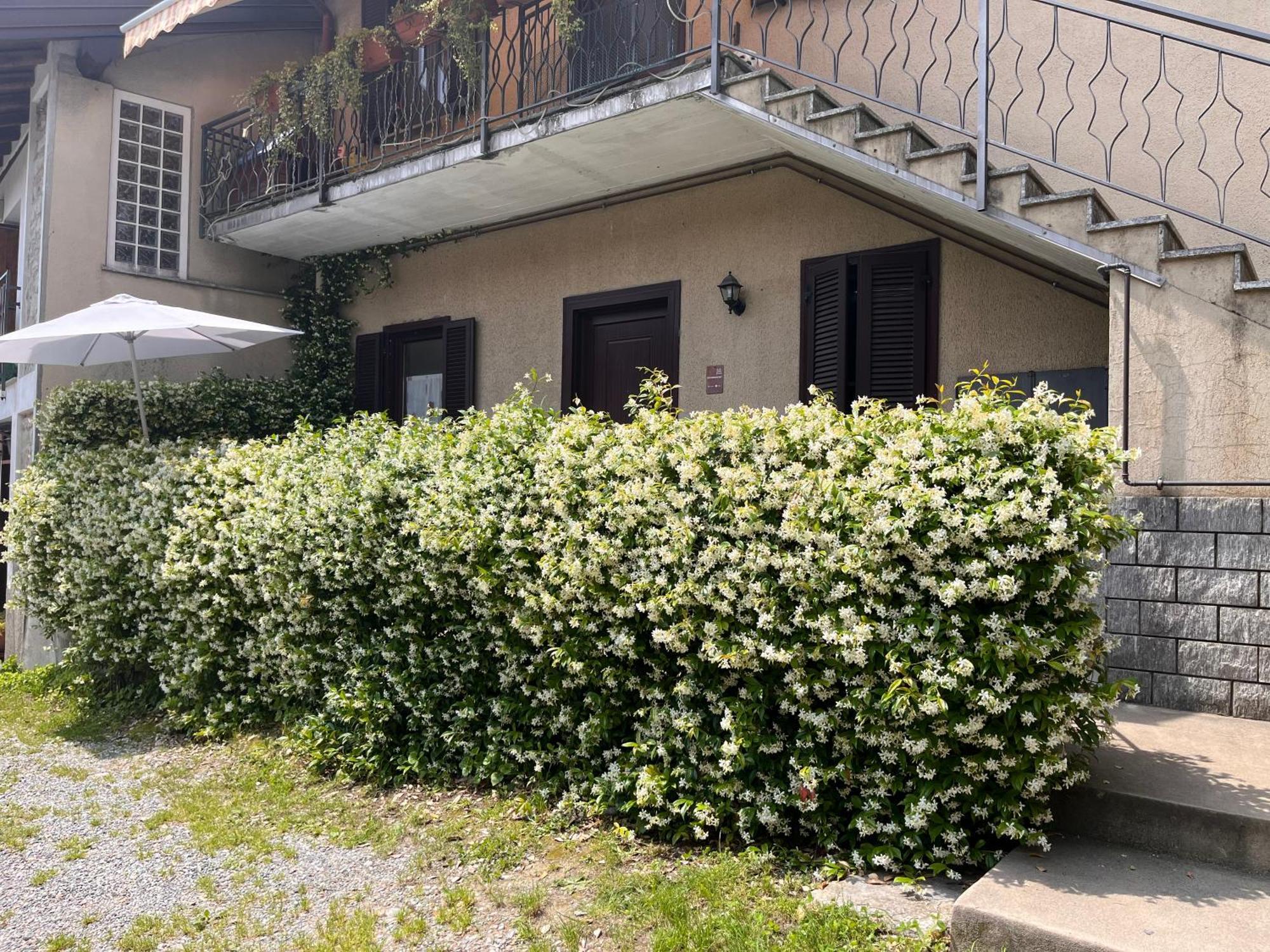 Il Cortile Como Single & Double Room In Apartment No Hotel Εξωτερικό φωτογραφία